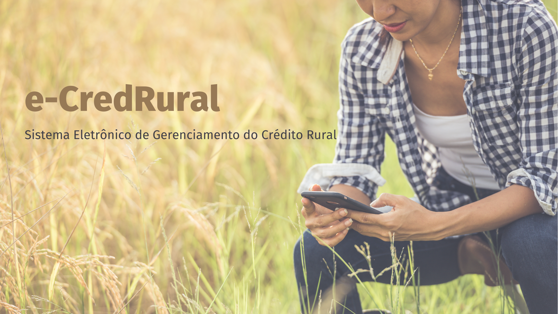 Leia mais sobre o artigo e-CredRural